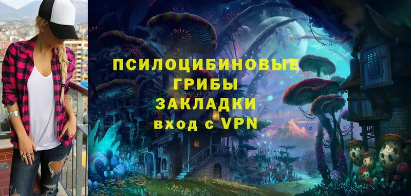 Галлюциногенные грибы Cubensis  Аша 